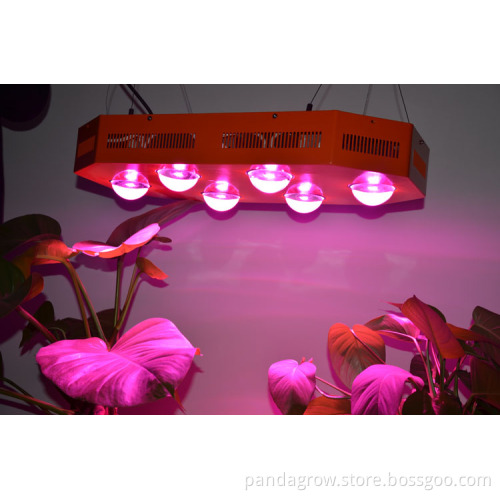 CF-PD-460W LED Grow Light for Indoor